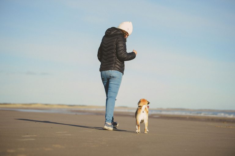 dog and owner bonding on beach