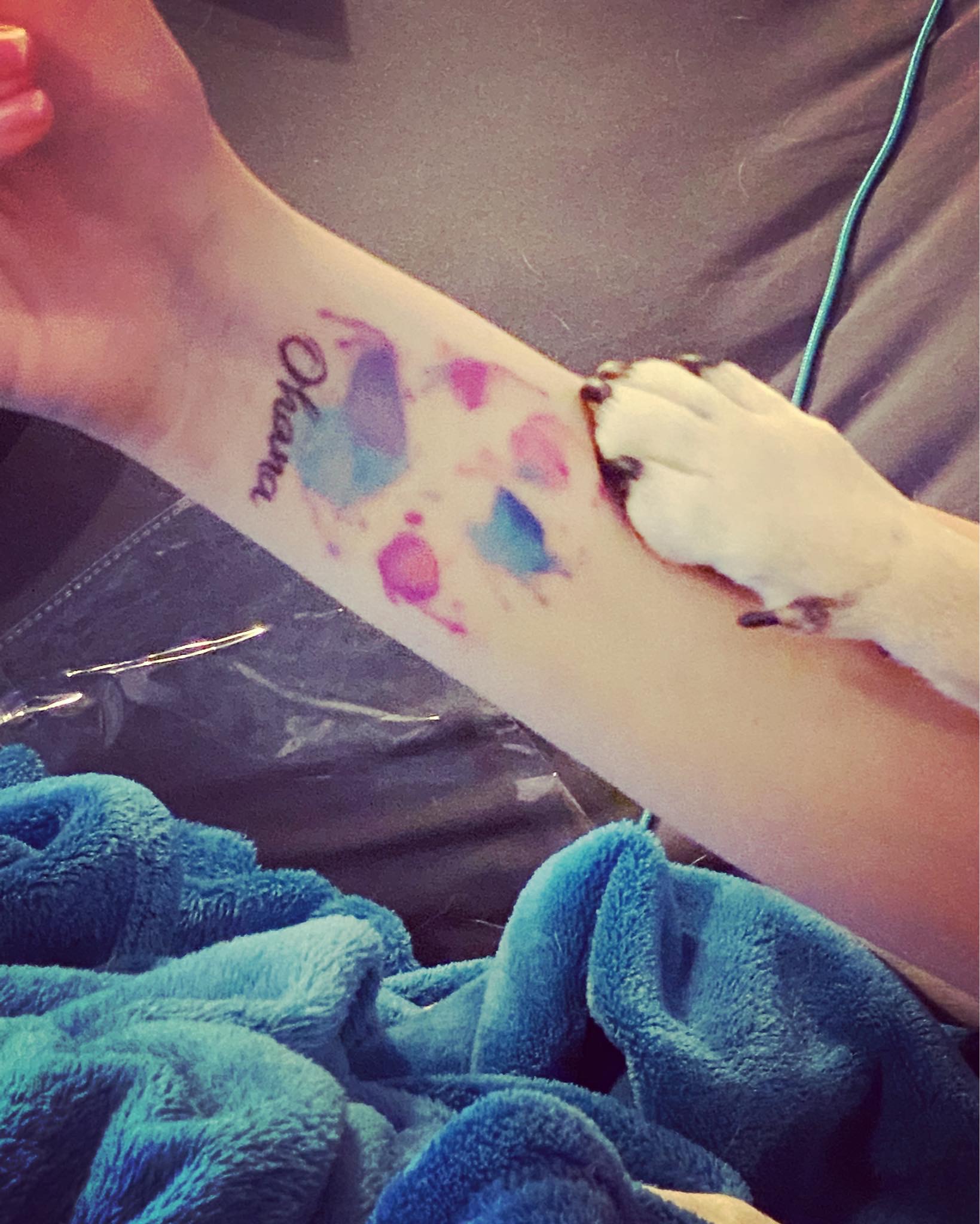 paw tattoo with dog paw